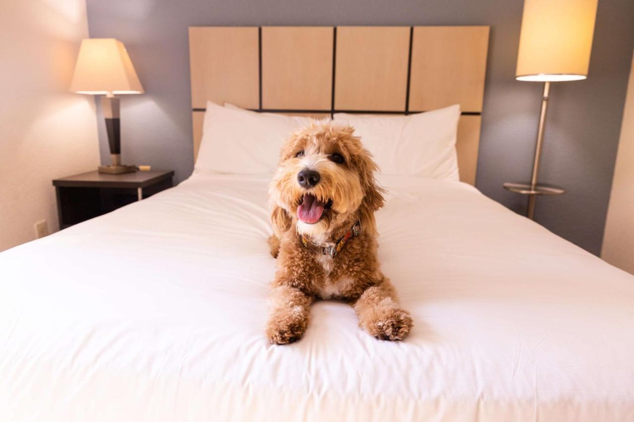 Sonesta Simply Suites Anaheim Garden Grove Eksteriør billede